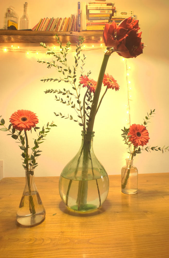 פייזולה B&B Eridu מראה חיצוני תמונה
